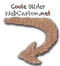 Coole Bilder Intro