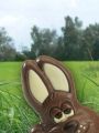 Coole Bilder - Frohe Ostern